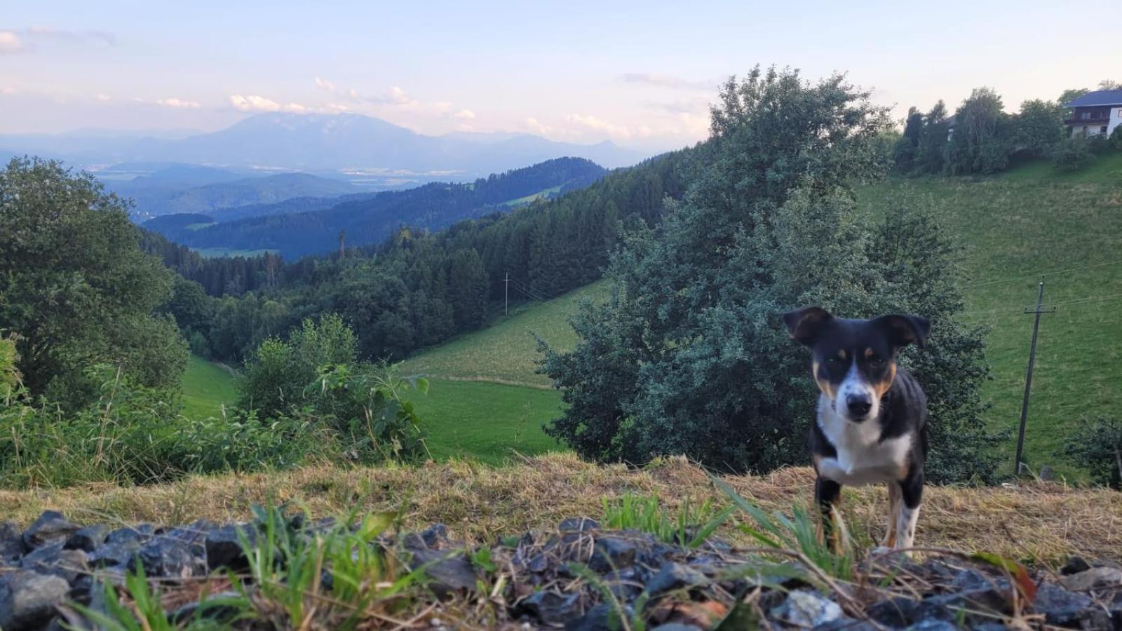 Gasthof Machwirth Griffen Экстерьер фото